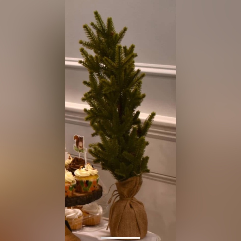 4 Green Burlap-Wrapped Holiday Tree - Picture 2 of 3